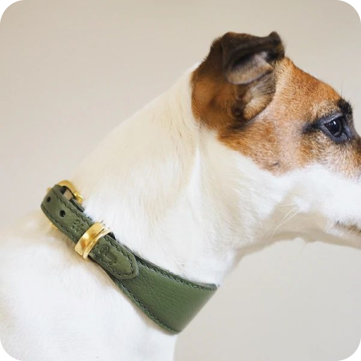 Collars