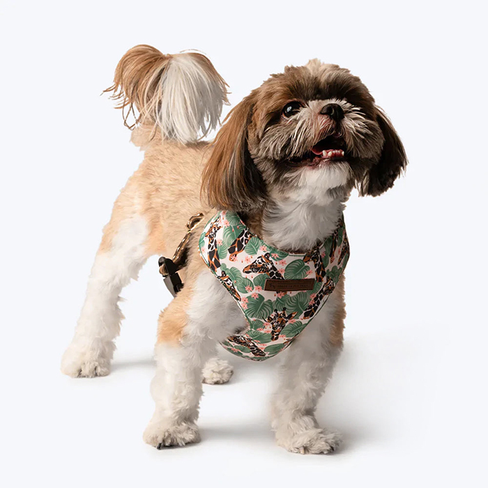 Jungle Collection Towering Grace Reversible Dog Harness