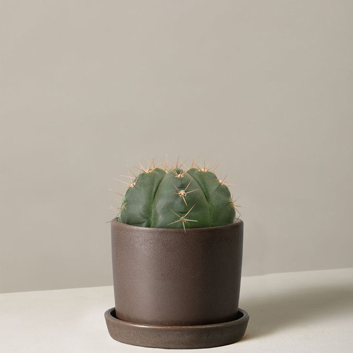 Humour, or non-characteristic words etc