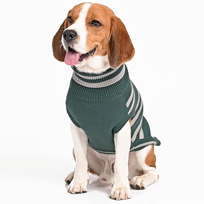 Harry Potter - Slytherin Dog Sweater