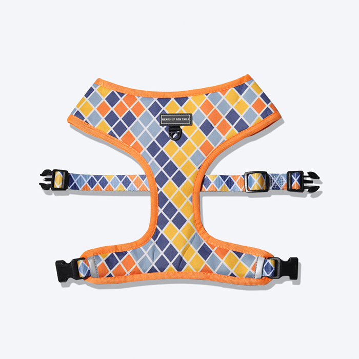 Colour Chaser Reversible Mesh Dog Harness - Multicolor
