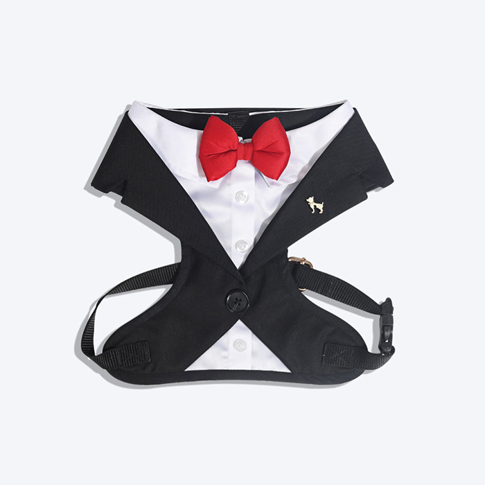 Made to Order Tuxedo Dog Harness