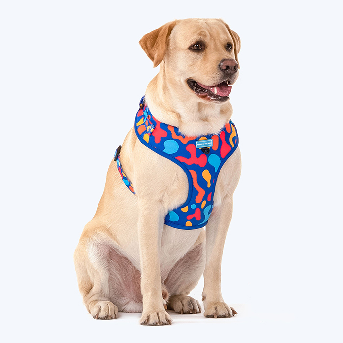 Colour Craze Dog Adjustable Harness