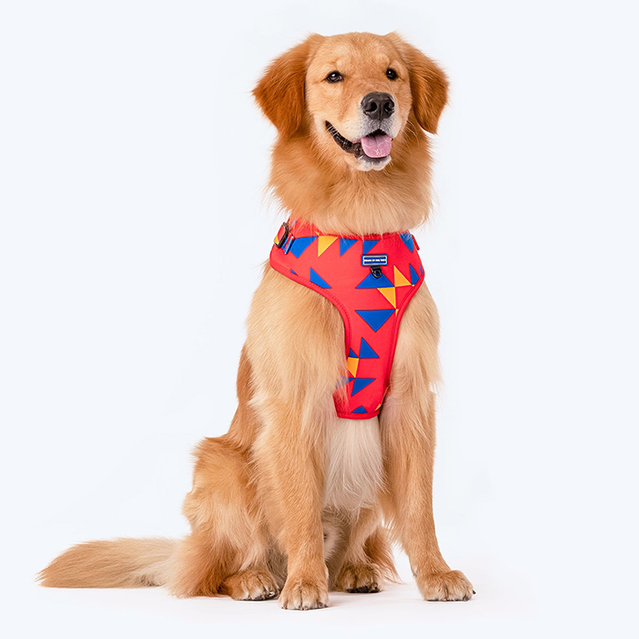 Crimson Thrill Dog Adjustable Harness